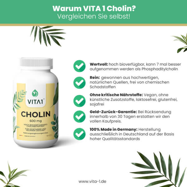 Choline 60x 600 mg 2