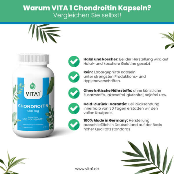 Chondroitin Capsules 90x 500 mg 2