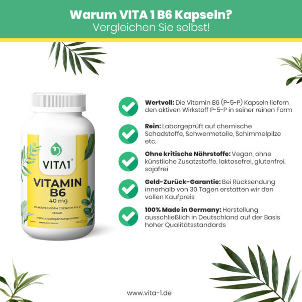 vita1 vitamin b6 capsules 60x 40 mg 3