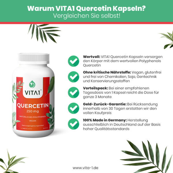vita1 quercetin capsules 90x 250 mg 3 3